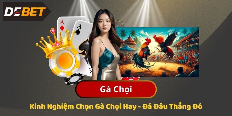 Kinh Nghiệm Chọn Gà Chọi Hay - Đá Đâu Thắng Đó