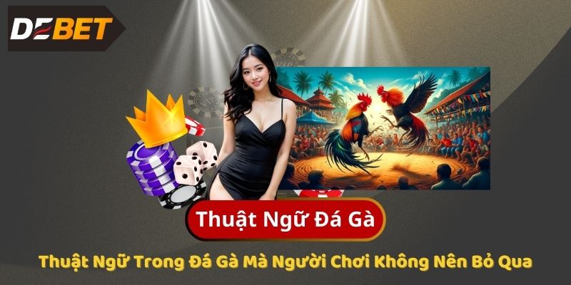 Thuật Ngữ Đá Gà - Người Chơi Không Nên Bỏ Qua